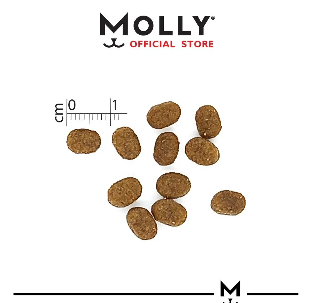 MOLLY CAT HAIRBALL CHICKEN AND ANCHOVY 2KG