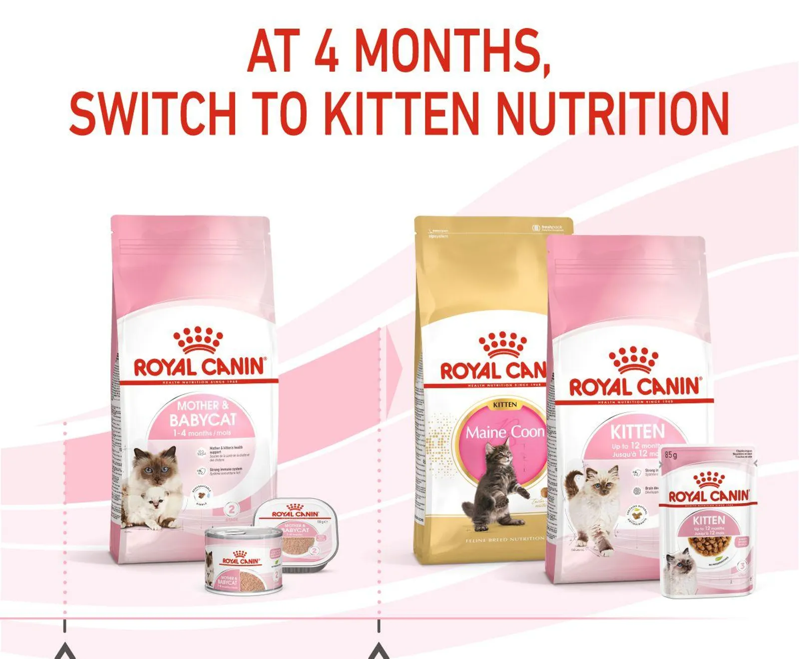 ROYAL CANIN: MOTHER AND BABYCAT 4KG