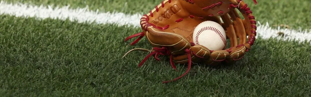 2025 NCAA DII baseball championship: Selection show info, bracket, schedule