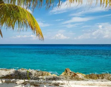 Digital Nomad Guide to Living in Cozumel