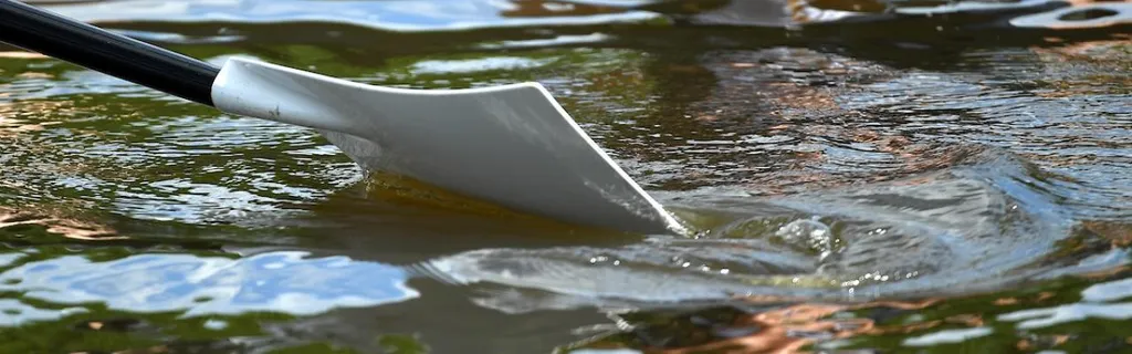 2025 NCAA DIII rowing championship: Selection show info, schedule