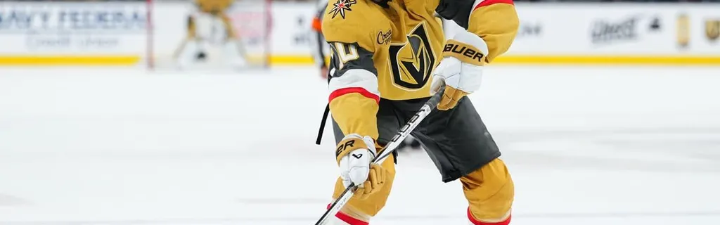 Roy to have Player Safety hearing for actions in Golden Knights game