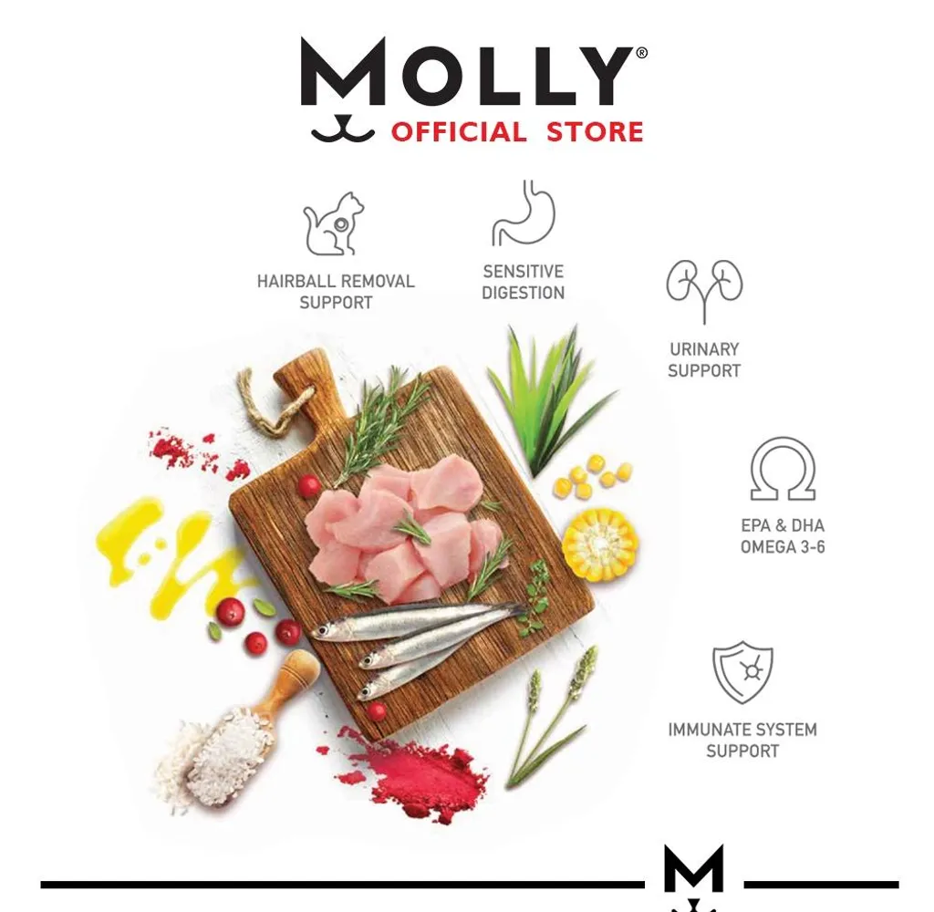 MOLLY CAT HAIRBALL CHICKEN AND ANCHOVY 2KG